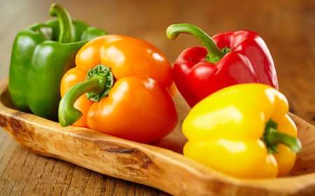 ক্যাপসিকাম মরিচ চাষ