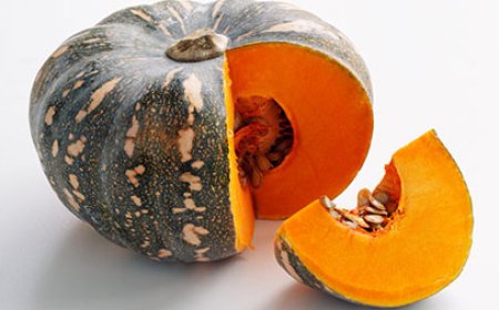 শীতে ছাদবাগানে যেসব গাছ রোপন করবেন