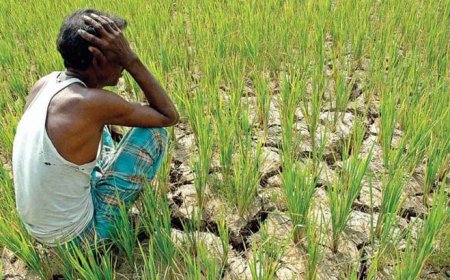 কৃষকদের মাঝে বিরাজ  মান ০৮ টি  ভুল ধারণা।