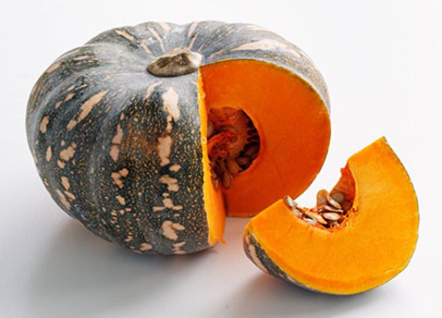 শীতে ছাদবাগানে যেসব গাছ রোপন করবেন