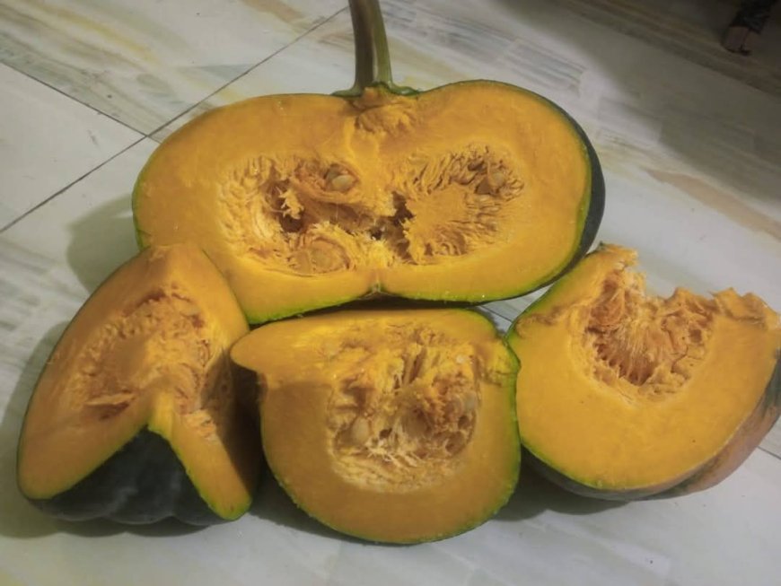 মিষ্টি কুমড়ার পটাশিয়ামের অভাব জনিত  সমস্যার সমাধান