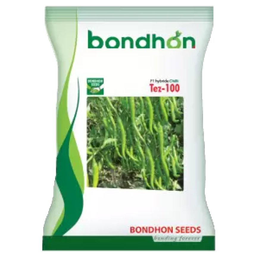 মরিচ তেজ-১০০ (বন্ধন সীড)
