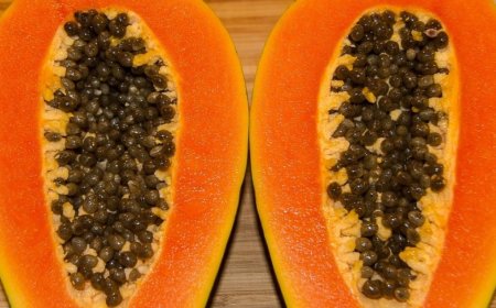 পেঁপে চাষ পদ্ধতি বিস্তারিত