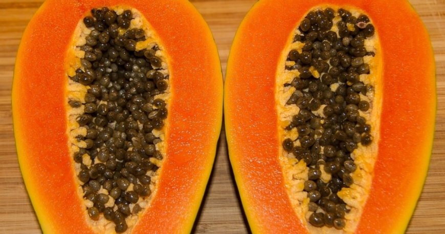 পেঁপে চাষ পদ্ধতি বিস্তারিত