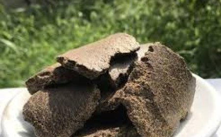 গাছের জন্য হরলিক্স তৈরি