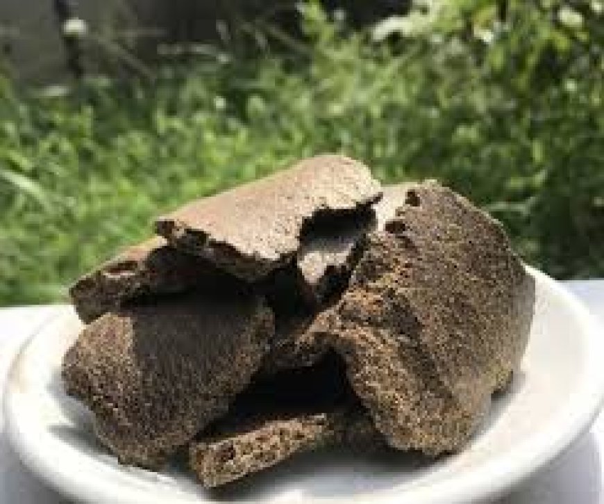 গাছের জন্য হরলিক্স তৈরি